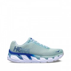 comparer et trouver le meilleur prix des chaussures Hoka One One Elevon lichen sodalite sur Sportadvice
