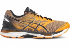 comparer et trouver le meilleur prix des chaussures Asics Gel cumulus t6c3n 3090 sur Sportadvice