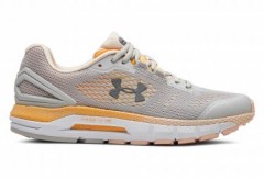 comparer et trouver le meilleur prix des chaussures Under Armour Hovr guardian sur Sportadvice