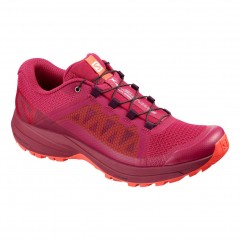 comparer et trouver le meilleur prix des chaussures Salomon Xa elevate sur Sportadvice