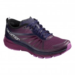 comparer et trouver le meilleur prix des chaussures Salomon Sonic ra pro sur Sportadvice