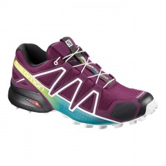 comparer et trouver le meilleur prix des chaussures Salomon Speedcross 4 sur Sportadvice