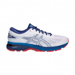 comparer et trouver le meilleur prix des chaussures Asics Gel kayano 25 sur Sportadvice