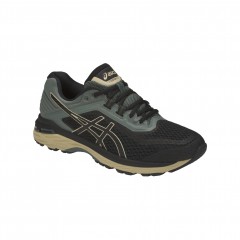 comparer et trouver le meilleur prix des chaussures Asics Gt 2000 6 plasmaguard sur Sportadvice