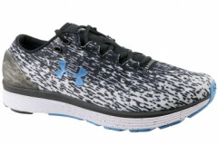 comparer et trouver le meilleur prix des chaussures Under Armour Ua charged bandit 3 ombre 3020119 002 sur Sportadvice