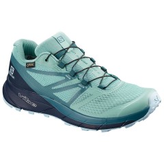 comparer et trouver le meilleur prix des chaussures Salomon Sense ride 2 gtx invisible fit noire sur Sportadvice