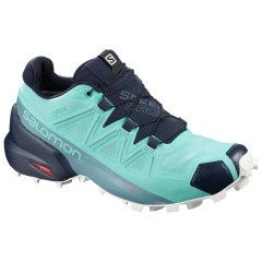 comparer et trouver le meilleur prix des chaussures Salomon Speedcross 5 gtx r sur Sportadvice