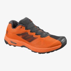 comparer et trouver le meilleur prix des chaussures Salomon X alpine pro phantom russet sur Sportadvice