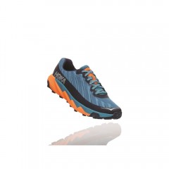 comparer et trouver le meilleur prix des chaussures Hoka One One Torrent storm iris sur Sportadvice