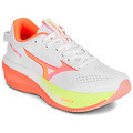 comparer et trouver le meilleur prix des chaussures Mizuno Wave rider sur Sportadvice